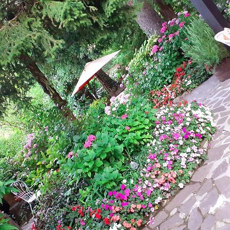 Albergo La Baita Corfino ภายนอก รูปภาพ
