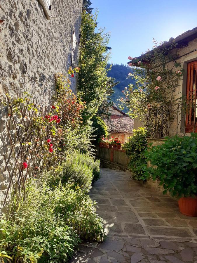 Albergo La Baita Corfino ภายนอก รูปภาพ