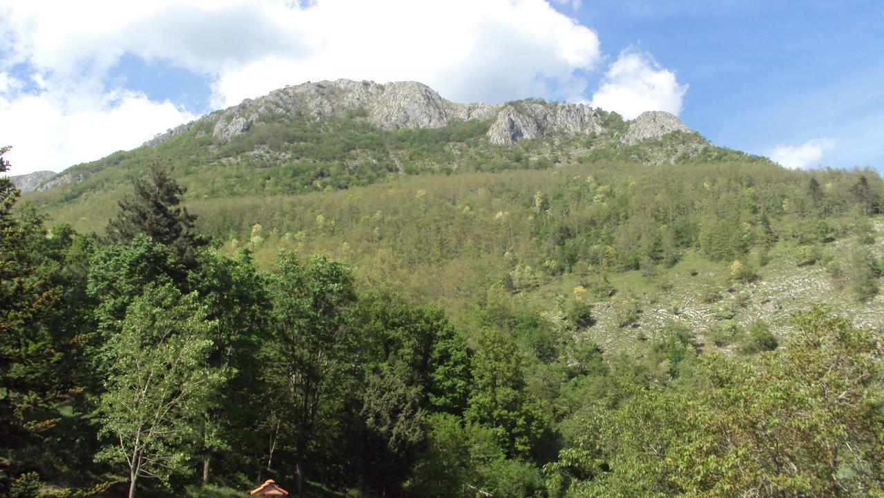 Albergo La Baita Corfino ภายนอก รูปภาพ
