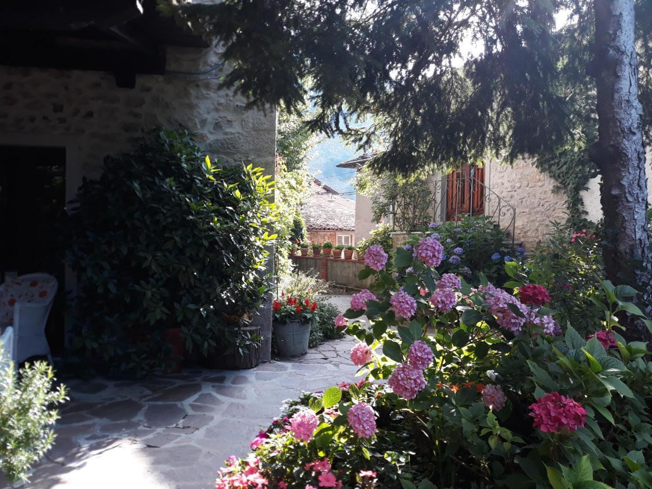 Albergo La Baita Corfino ภายนอก รูปภาพ